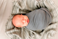 Newborn