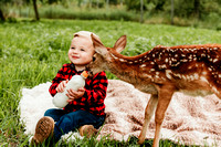 Fawn Mini