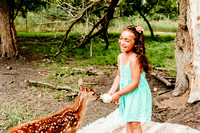 Fawn 2023