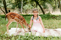 Fawn 2023
