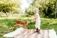 Fawn 2023