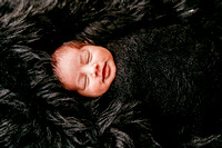 Newborn