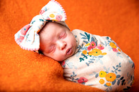 Newborn Proofs