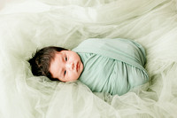 Newborn
